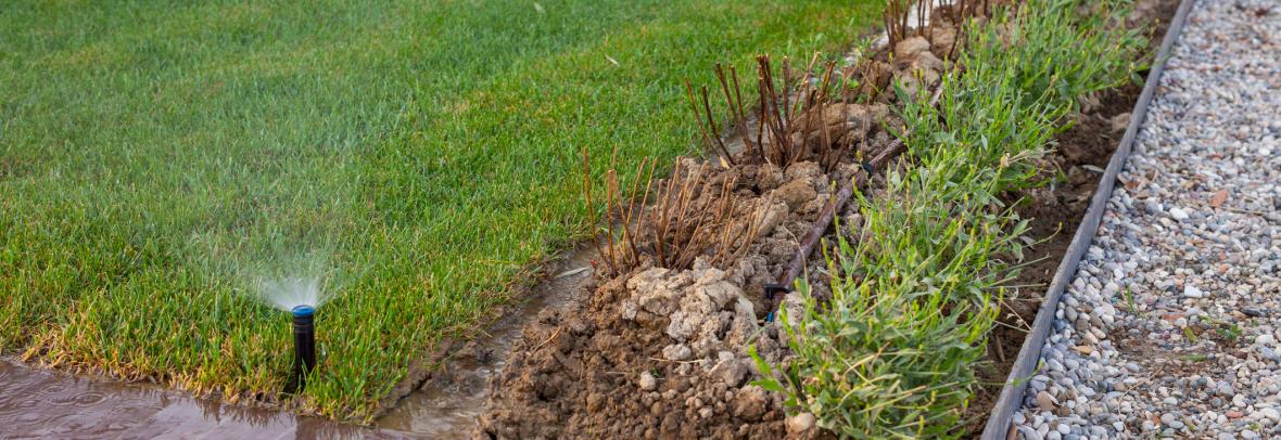 Sprinkler heads sprinkle water on the grass and trees in a garden.