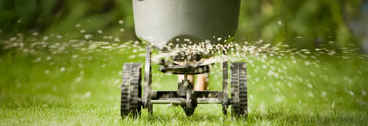 Fertilizer pellets spraying from spreader 